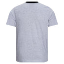 ESD-T-shirt 150 g/m² - rundhals - mit schwarzem Kragen | hellgrau