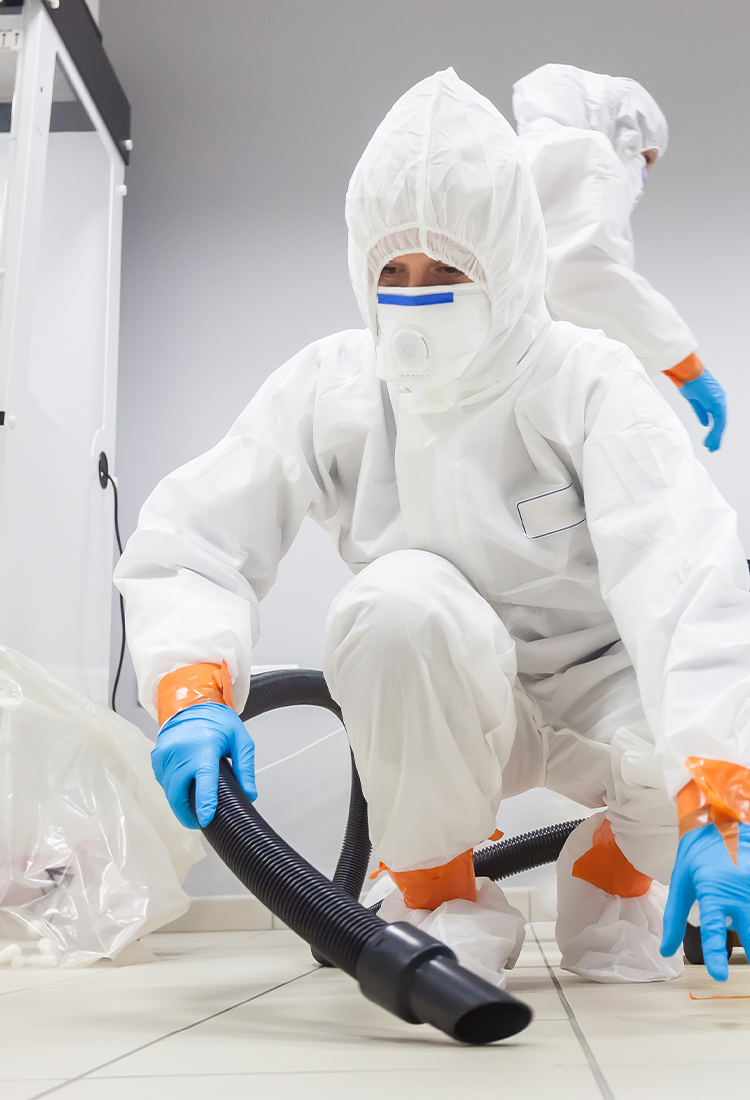 DS SafetyWear Cleanroom