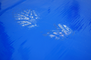 ProSafe Cleanroom Dust Binding Mats 1150 x 900mm blue | Contents: 4 mats