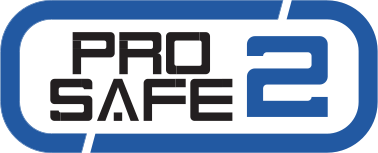 DS Logo PS2